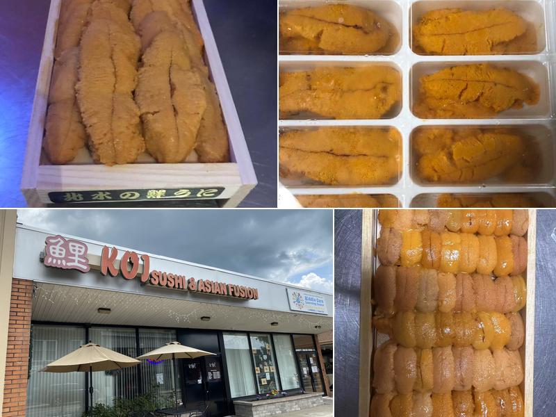 Koi Sushi Steak & Asian Fusion