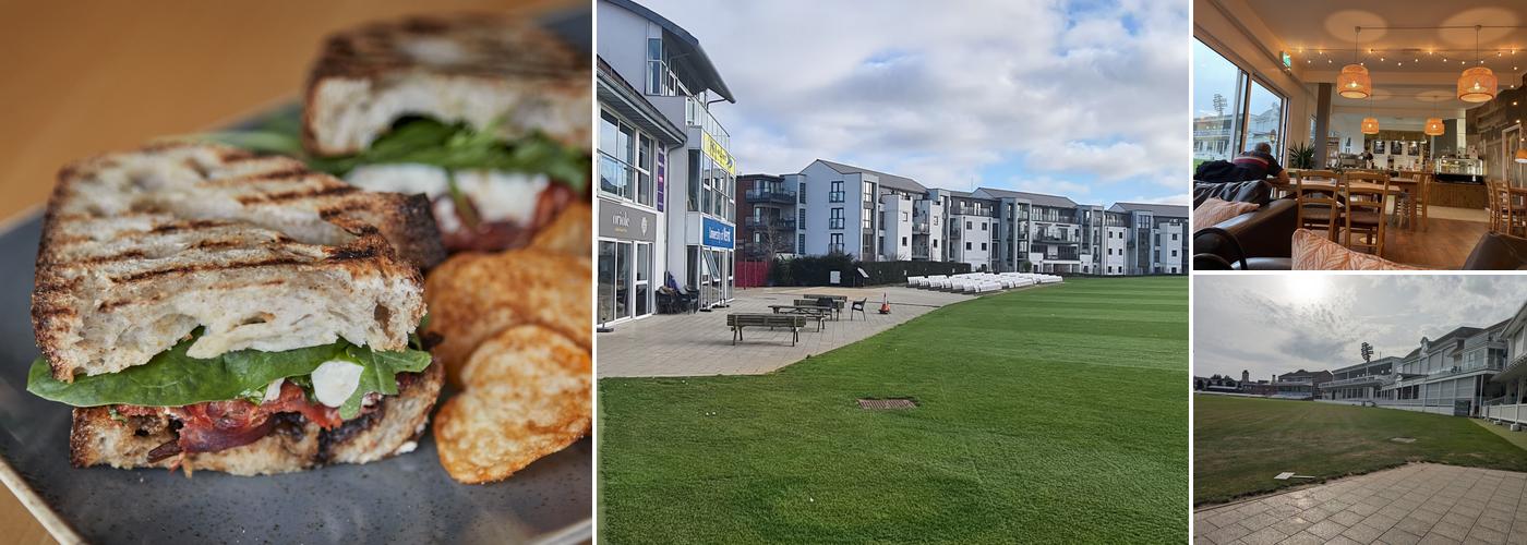 Oriole at the Lime Tree Cafe