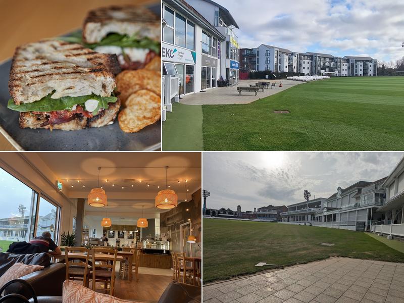 Oriole at the Lime Tree Cafe