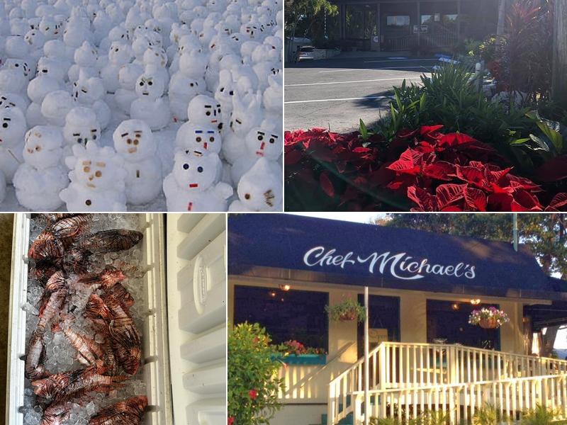 Chef Michael's