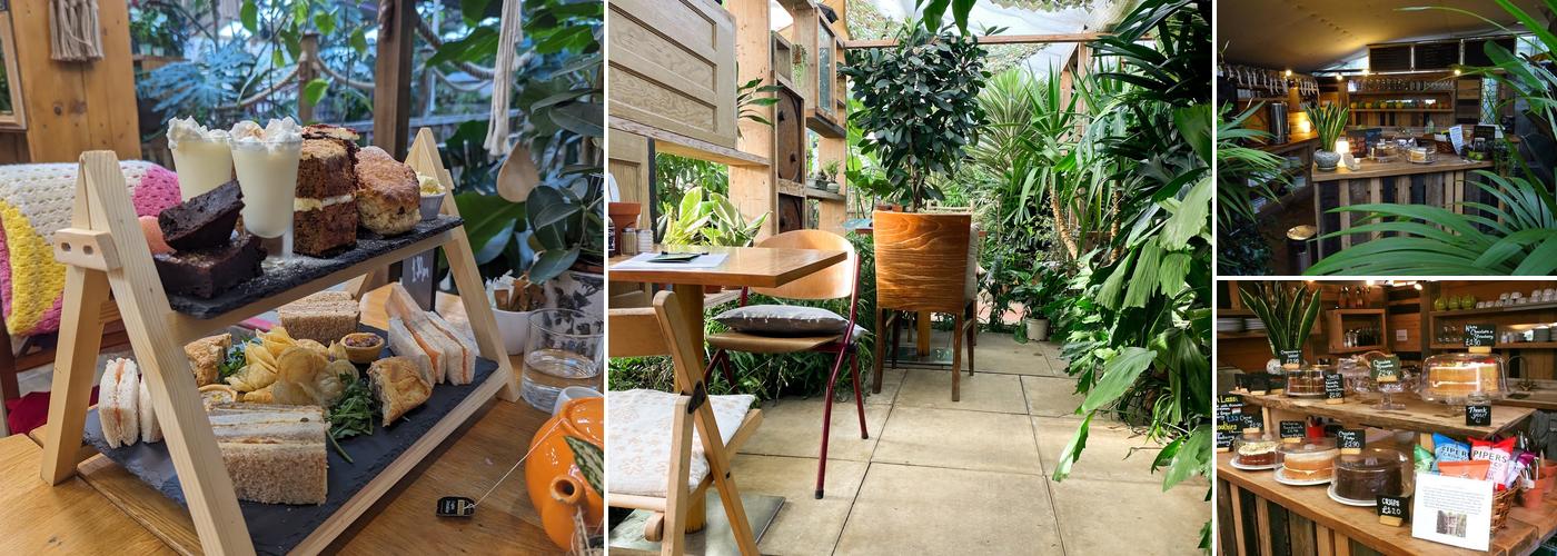 The Café at Urban Jungle Norfolk