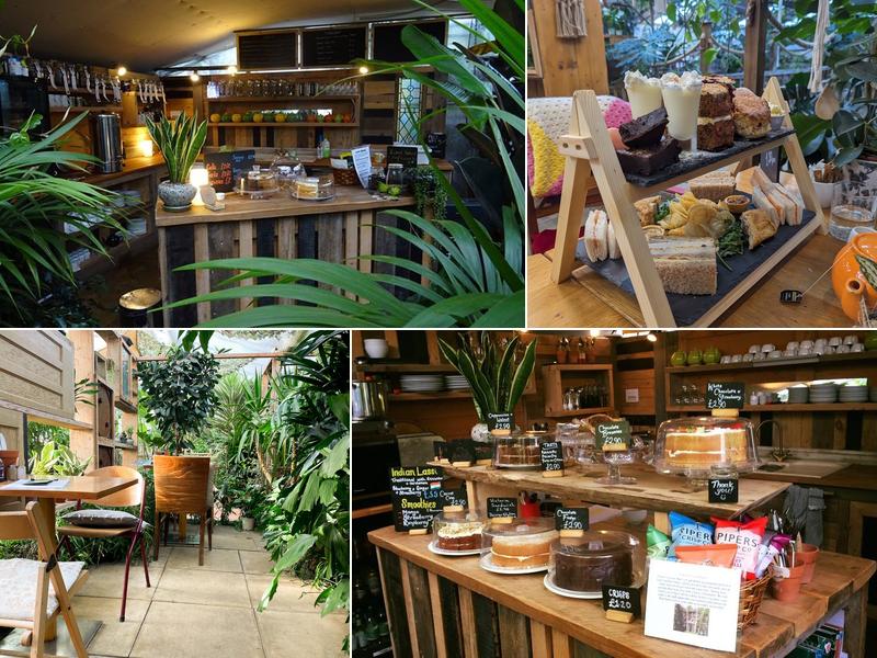 The Café at Urban Jungle Norfolk