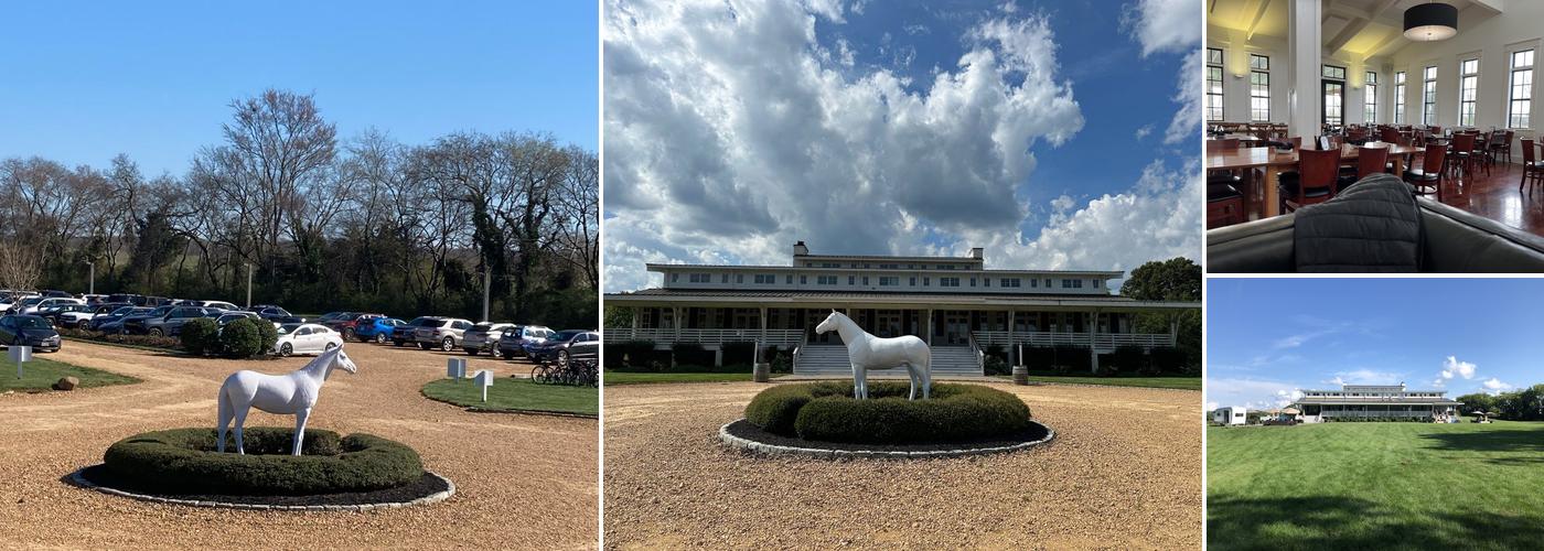 Upper Shirley Vineyards