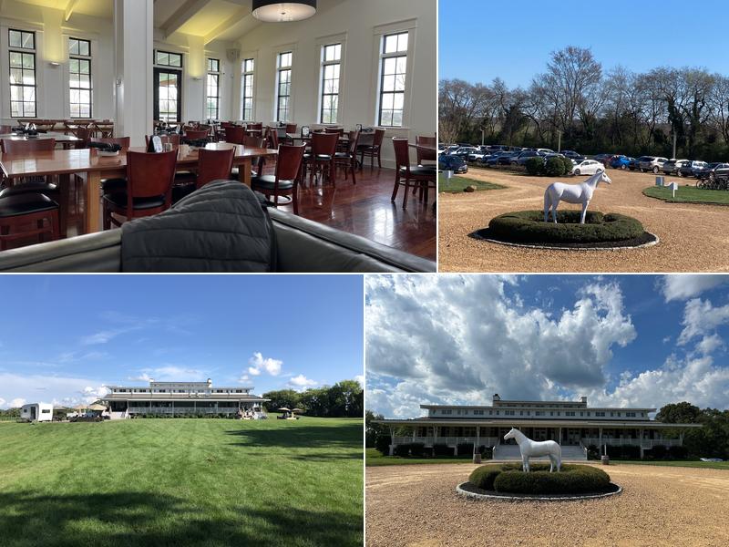 Upper Shirley Vineyards