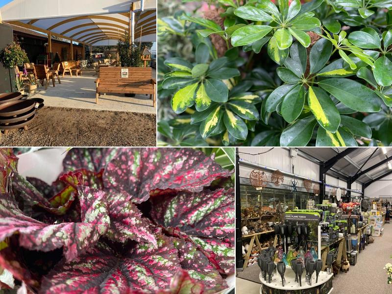 Aylsham Garden & Leisure, Farm & Cafe