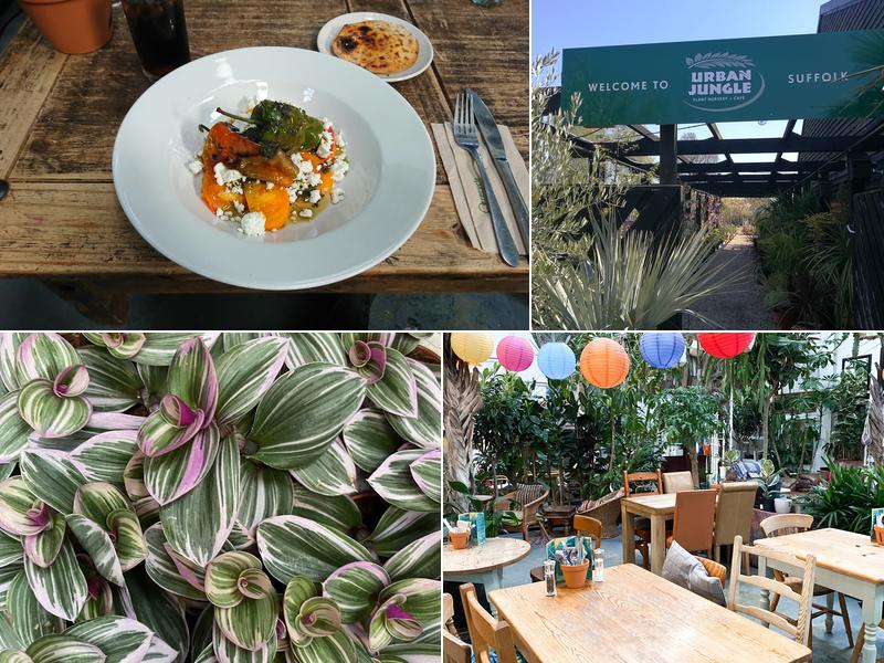 The Cafe at Urban Jungle Suffolk