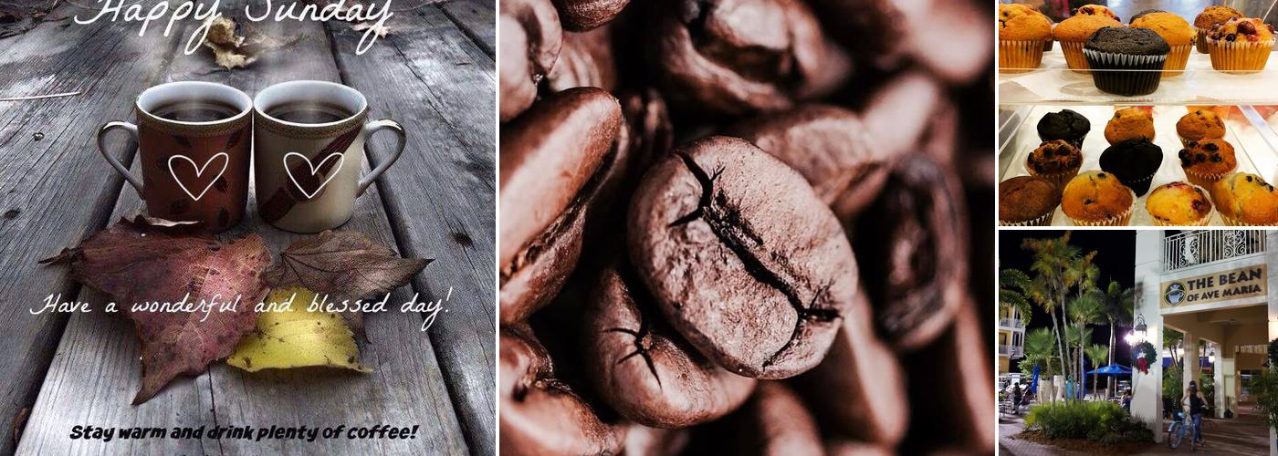 The Bean of Ave Maria