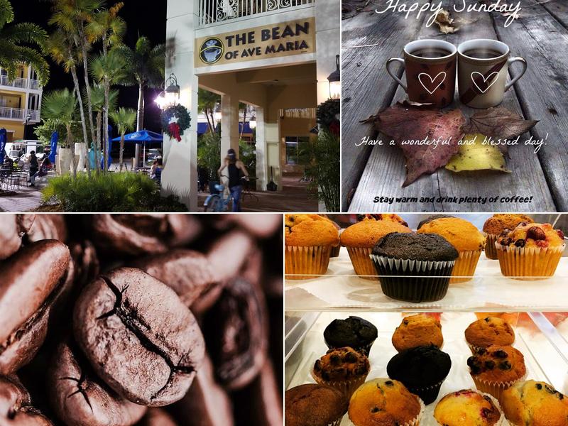 The Bean of Ave Maria