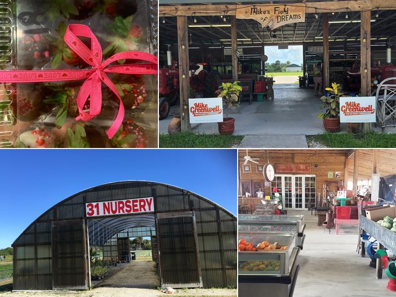 31 Produce/Cracker Shack Cafe