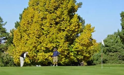 Harrington Golf & Country Club Harrington