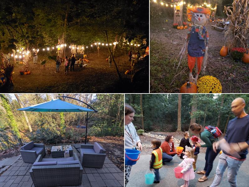 Second Wave Coffee & Books 529 S Lake Dr, Lexington