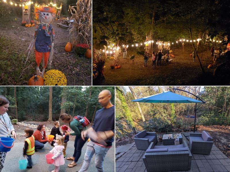 Second Wave Coffee & More 529 S Lake Dr, Lexington