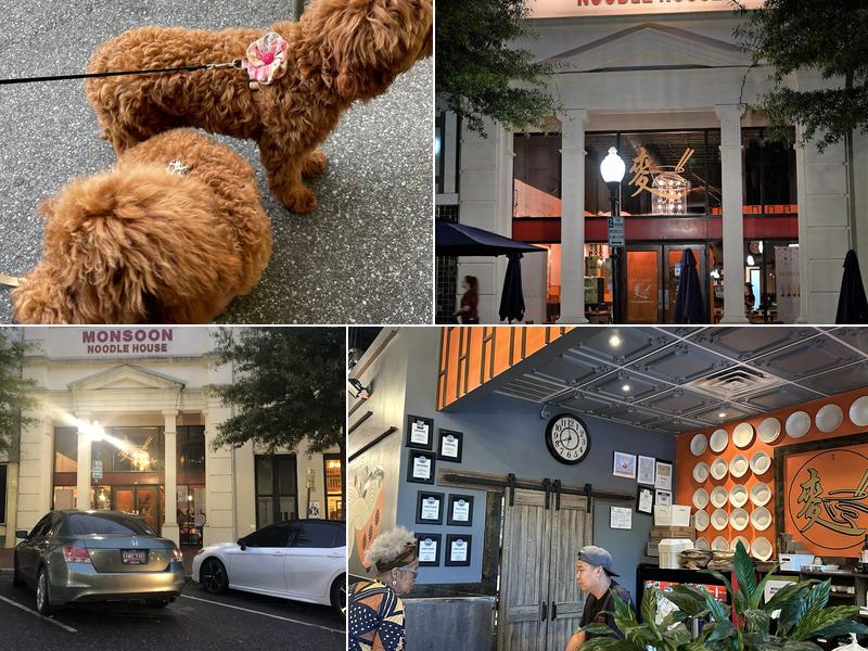 Monsoon Noodle House