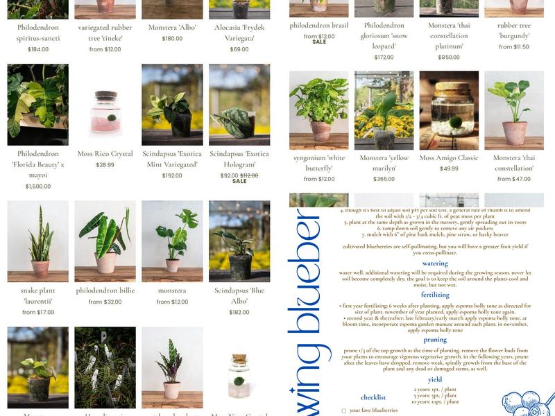 Wilson Nurseries Menu