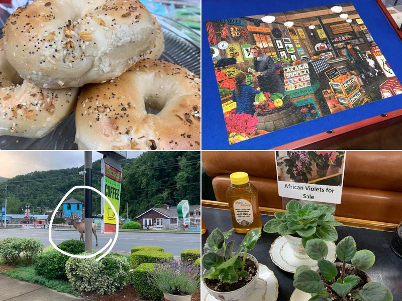 Organic Beans Coffee Co 3680 Soco Rd, Maggie Valley