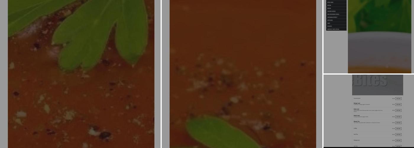 Khana Indian Bistro Menu