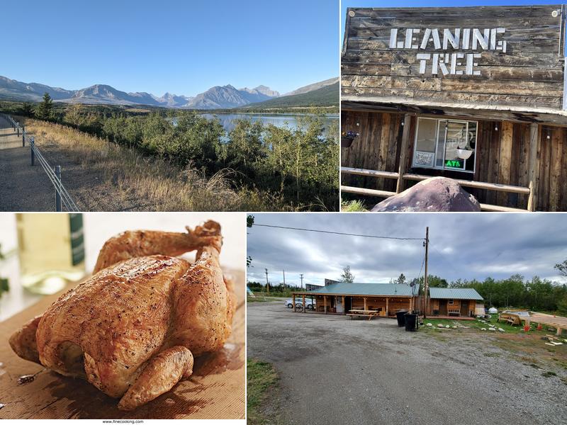 Leaning Tree Cafe and Campground
