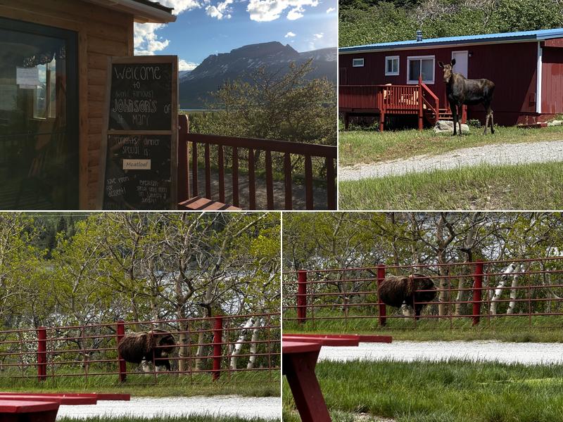 Johnson's of St. Mary