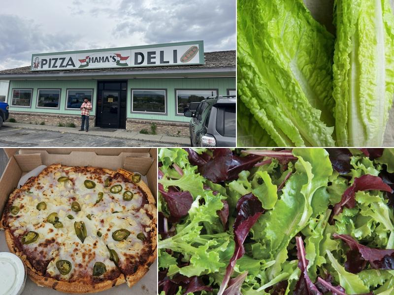 Mama's Pizza & Deli 515 E Front St, Battle Mountain
