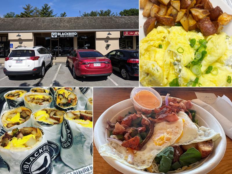 Blackbird Cafe 342 Great Rd, Acton