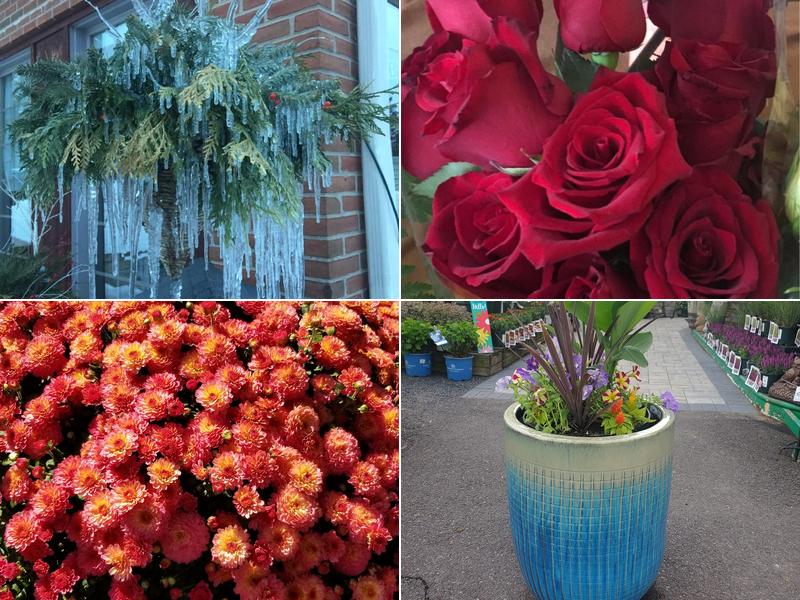 George Burger & Sons Inc.