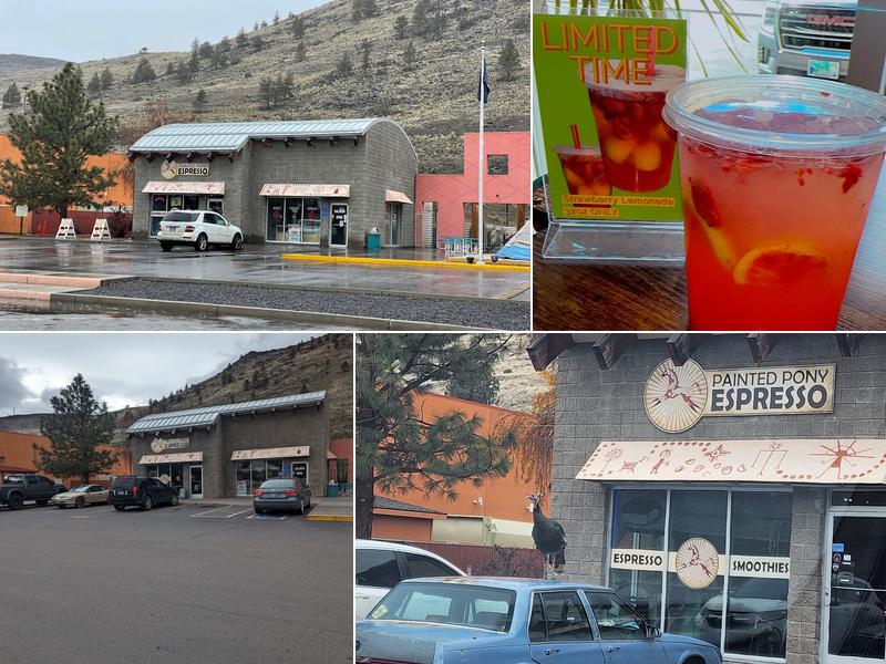 Painted Pony Expresso