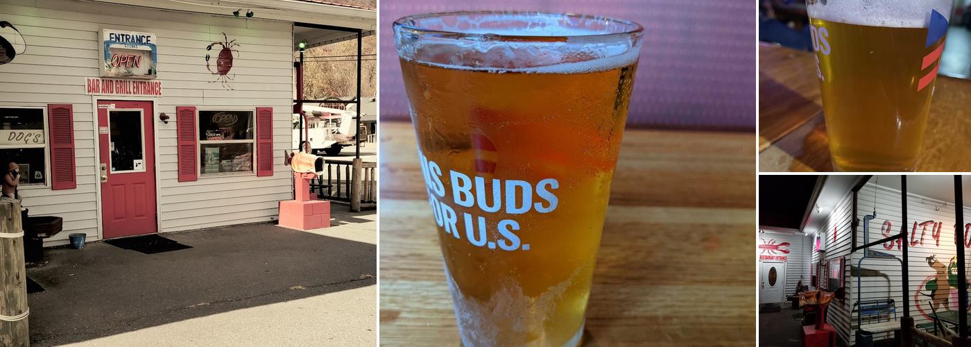 Salty Dog's Seafood & Grill