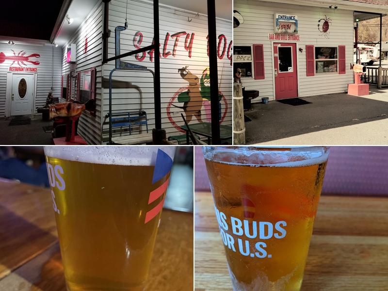 Salty Dog's Seafood & Grill