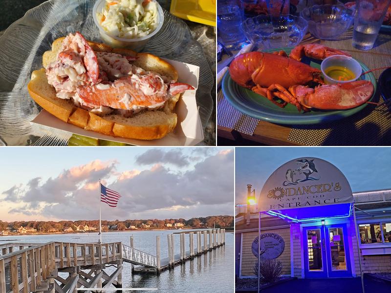 Sundancer's Cape Cod