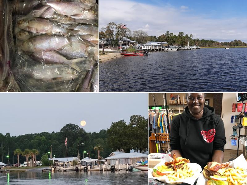 Blacks Camp 1370 Blacks Camp Rd, Cross