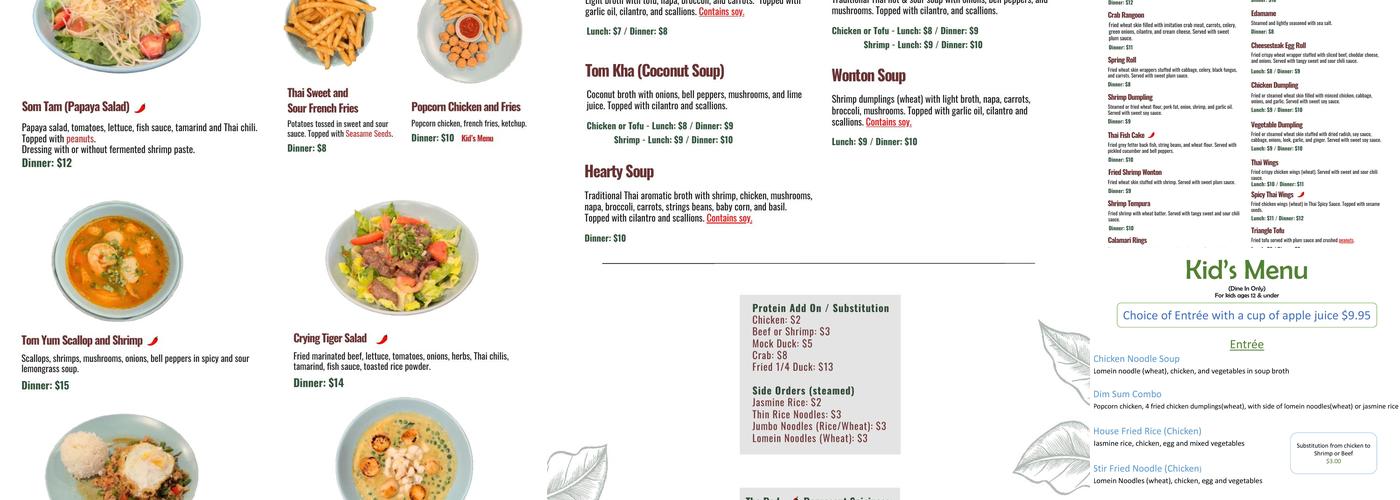 Thai Chef and Noodle Fusion Menu