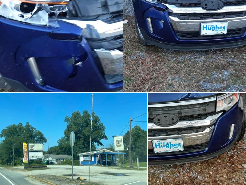 The Leopard 2085-3033, 1067 Historic Homer Hwy, Homer