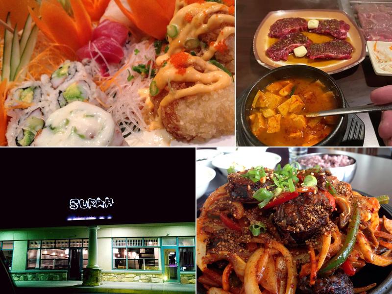 Surah 1121 N Bethlehem Pike, Spring House