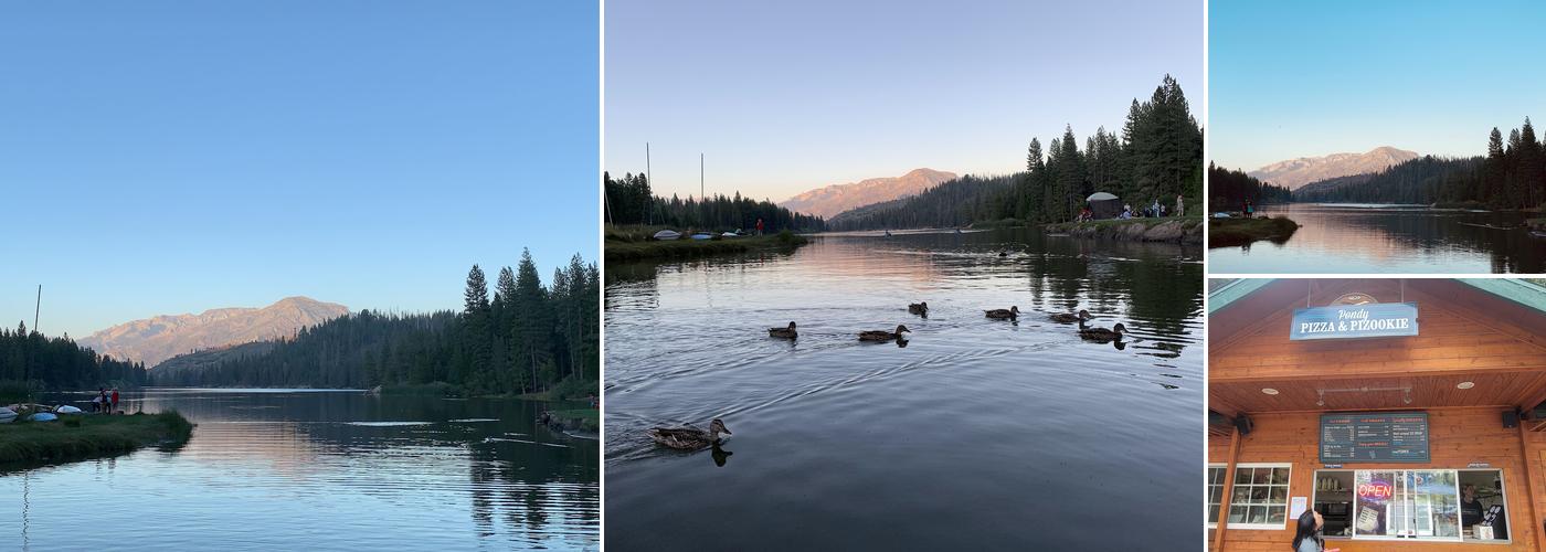 Pondy Pizza & Pizookie
