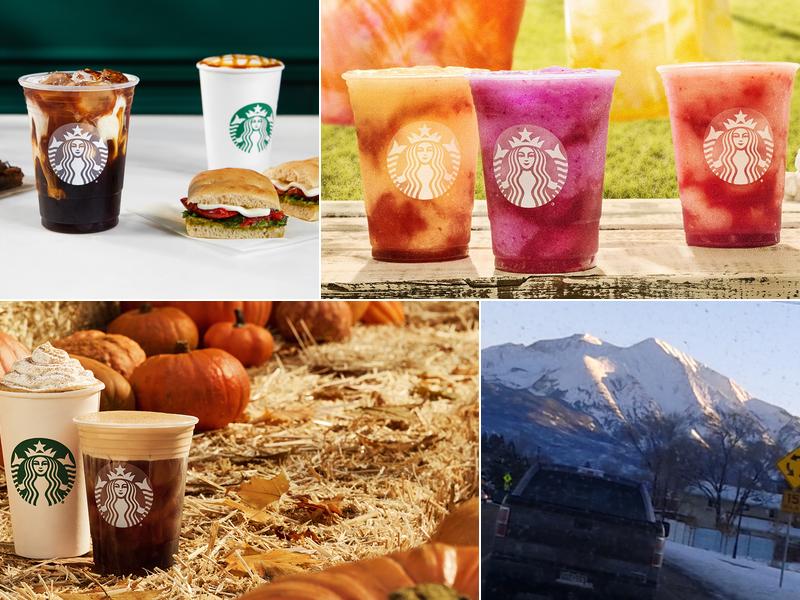 Starbucks 250 E Valley Rd, El Jebel