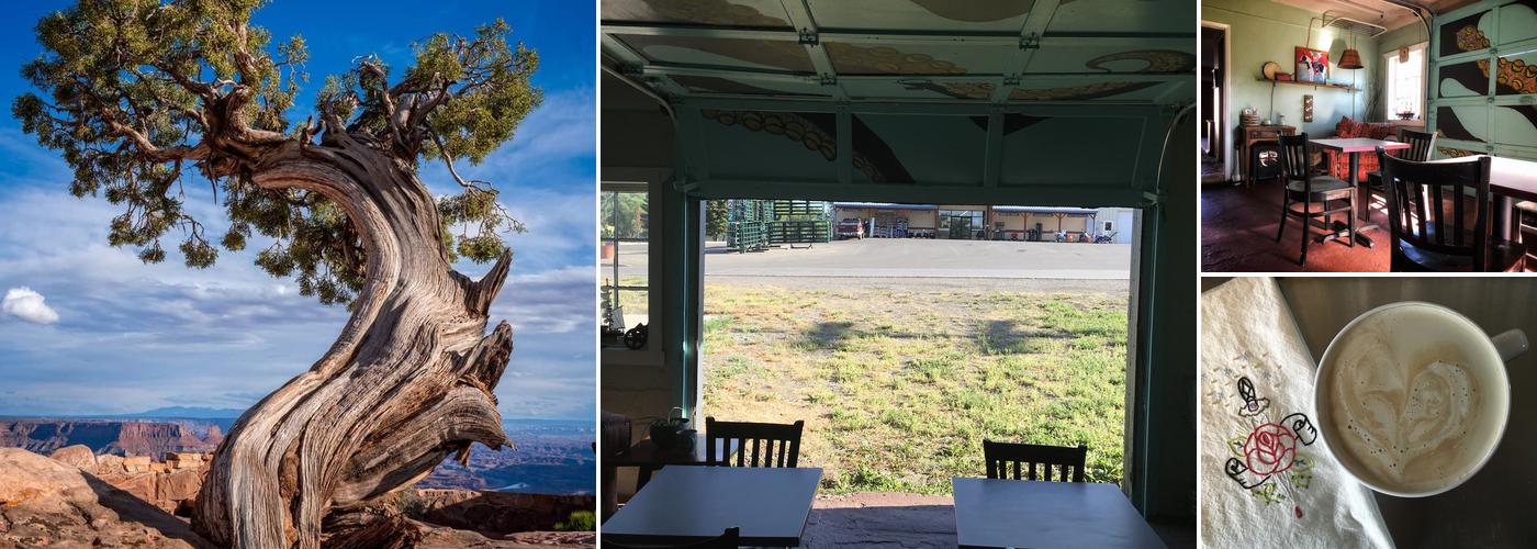 Juniper House Limited