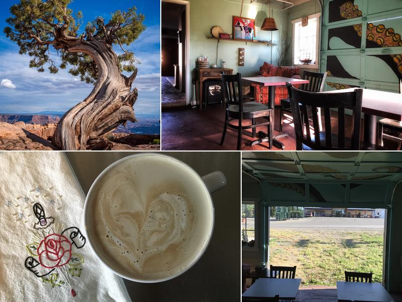 Juniper House Limited