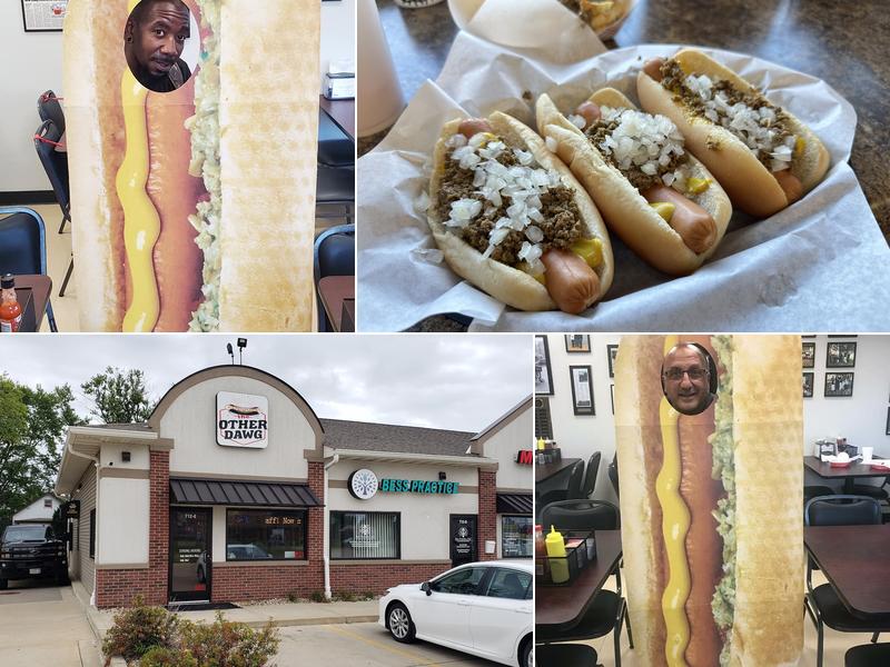 Other Dawg 712E E War Memorial Dr, Peoria Heights