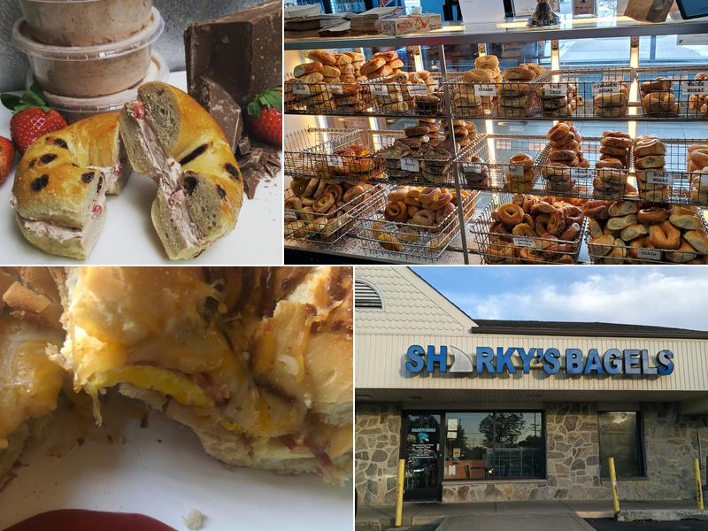 Sharky's Bagels