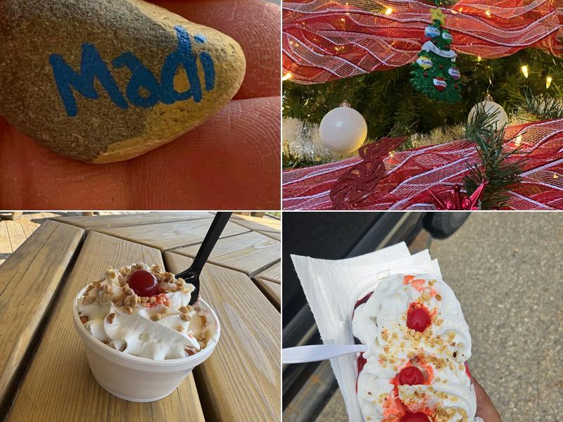 Willow Tree Ice Cream 505 Julian St, Williamstown