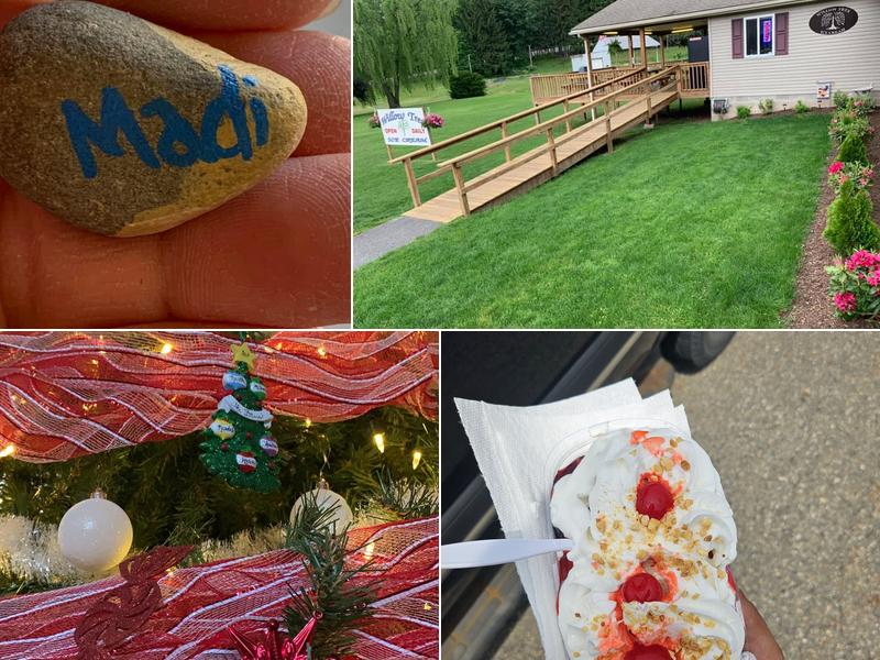 Willow Tree Ice Cream