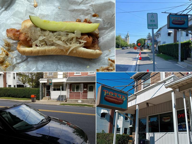 Paradise Dogs