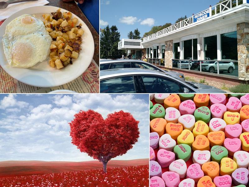 Roscoe Diner 1908 Old Rte 17, Roscoe