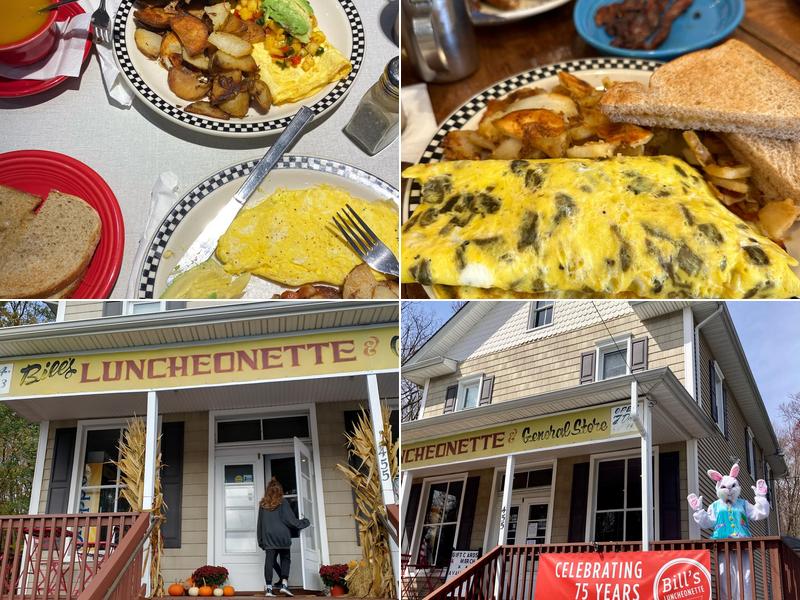 Bill's Luncheonette 455 North Rd, Chester
