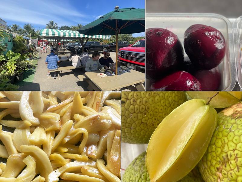 Fresh Bite Farm To Beach