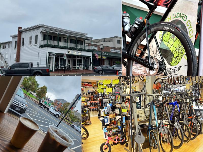 Green Lizard Cycling