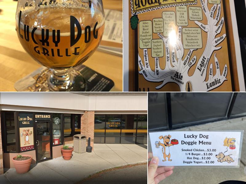 Lucky Dog Grille 729 Reading Rd, Mason