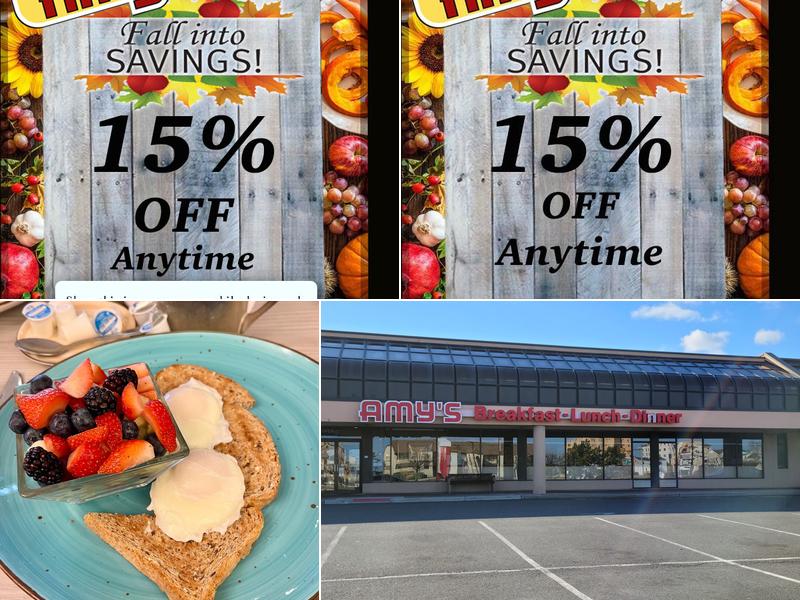 Amy's Omelette House