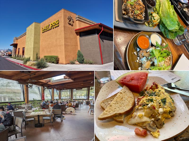 Lazy Dog Restaurant & Bar