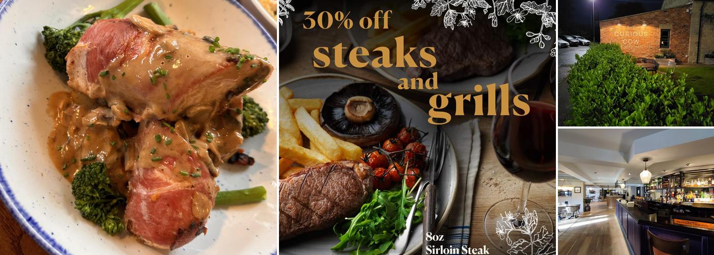 Curious Cow of Harrogate